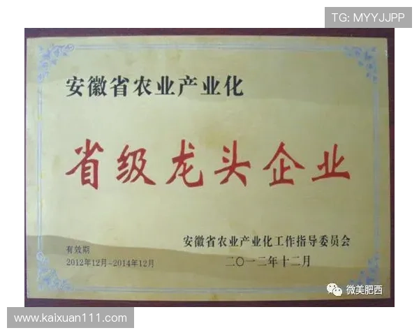 肥西电视台直播最新节目表及观看指南 肥西电视台直播最新节目表及观看指南